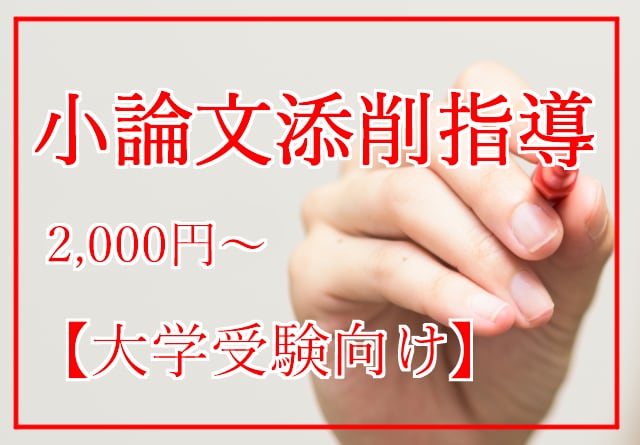 大学受験向け！小論文添削指導・アドバイス行います 小論文試験が必要な方へ、元小論文添削員の立場から イメージ1