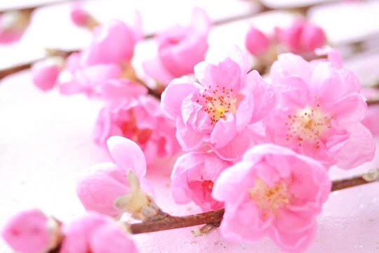 水晶占い⭐︎2問まで⭐︎YES・NOでお答えします 恋愛・結婚・仕事・人間関係・未来etc…ワンコインで占います イメージ9