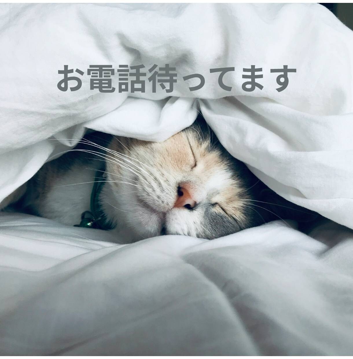 自分を責めてしまう方に、優しくじっくり寄り添います 頑張りすぎて壊れる前に、心を休めてみませんか　自分責め/不安 イメージ7