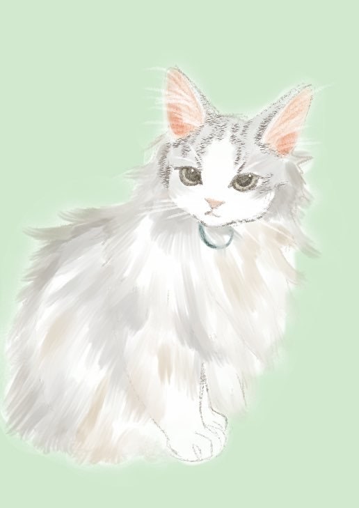 猫ちゃんのイラスト描きます 3段階のデフォルメからお好きな絵柄で描きます イメージ2