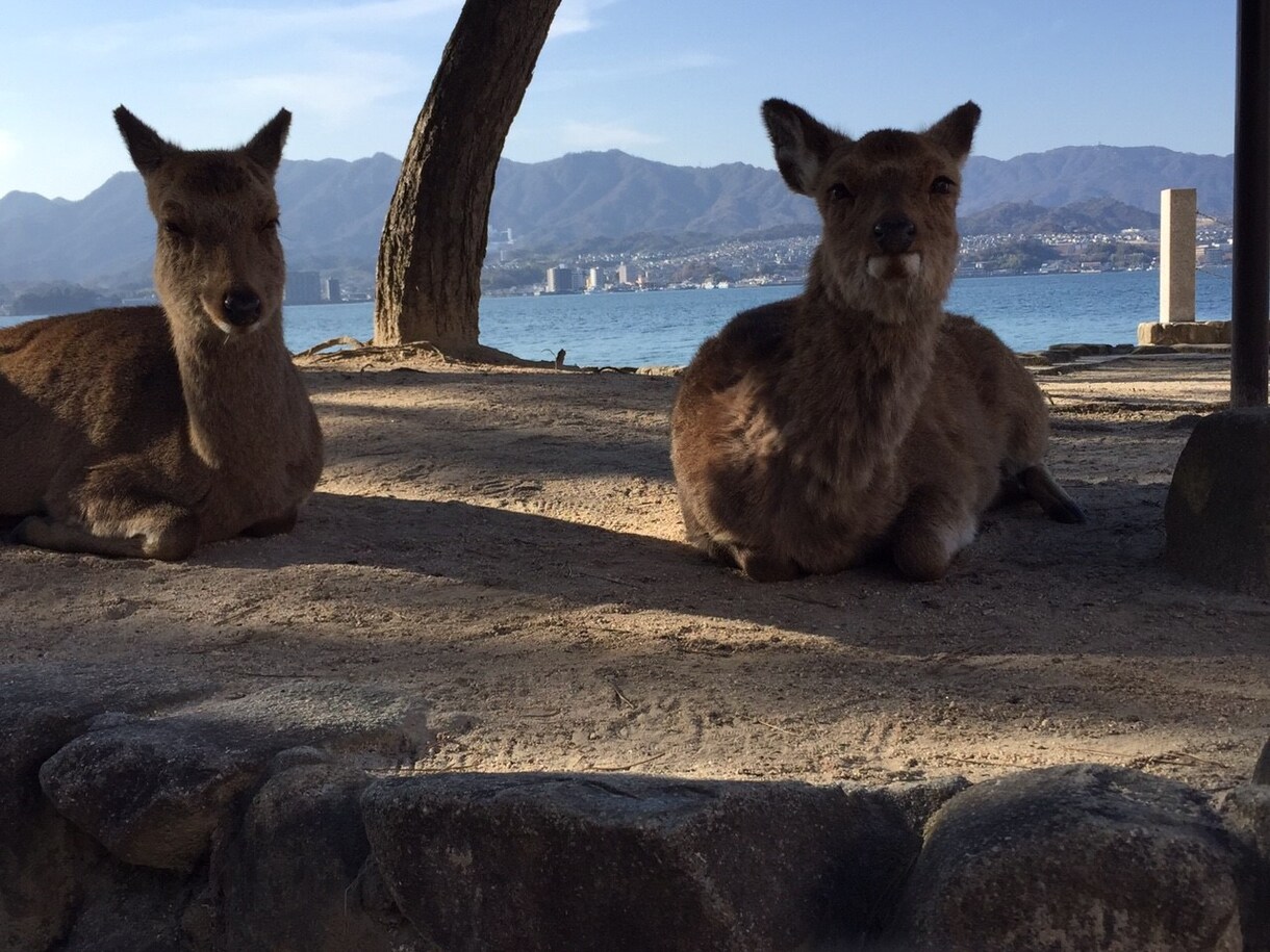 1日中楽しい旅行プラン考えます！ イメージ3