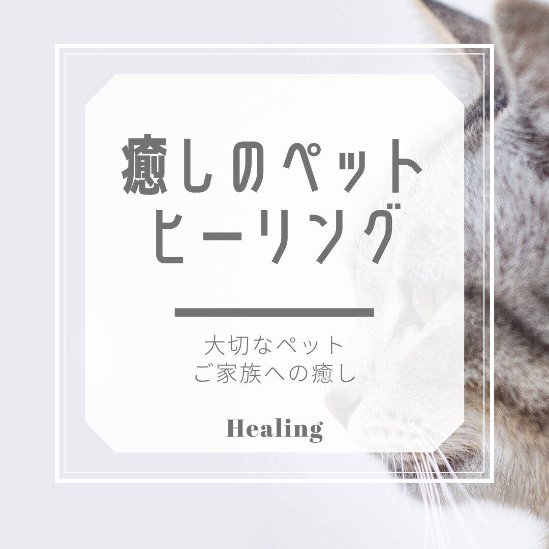 大切な家族（ペット）にご褒美⭐️ヒーリング致します エネルギーセラピー癒しのヒーリング⭐️大切な家族へリラックス イメージ3