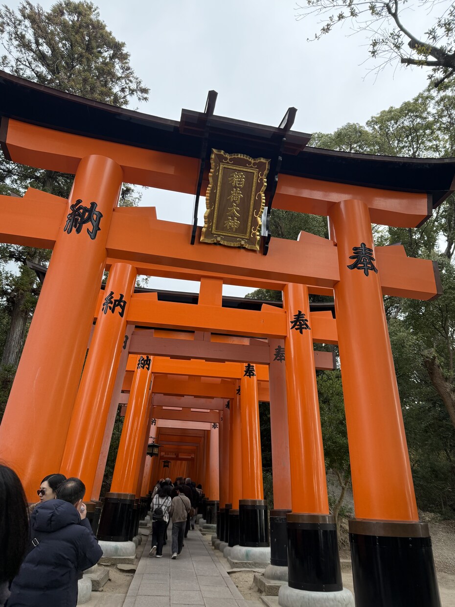 ２択⭐️わからない…あなたの迷い紐解きます A?B?存在意識からの本音⭐️進みやすい流れでお伝え☘️ イメージ3