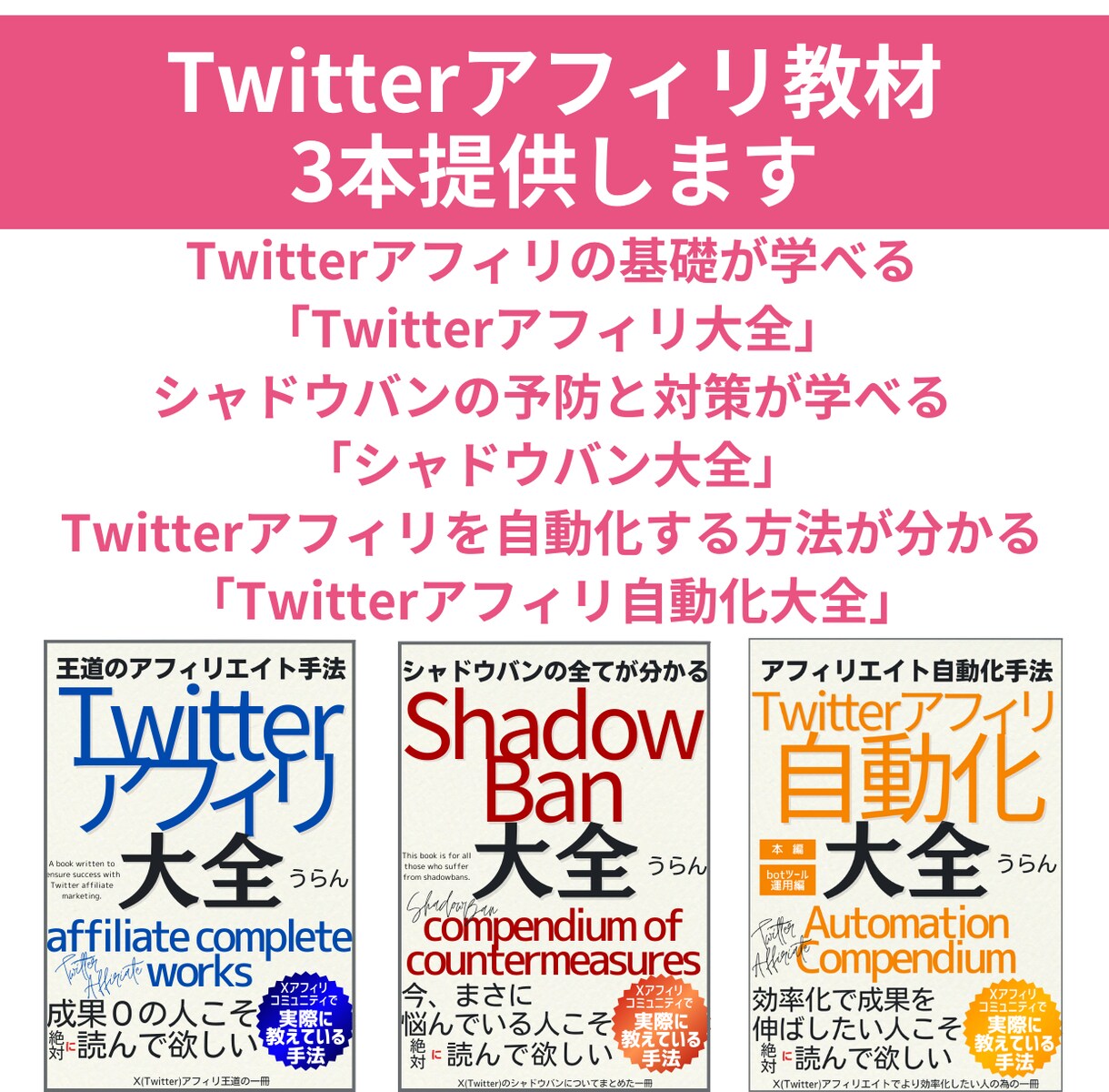 副業初心者専門！シンプル手法で初成果を上げさせます SNSを使った在宅副業を1ヶ月間徹底サポートで伝授します イメージ6