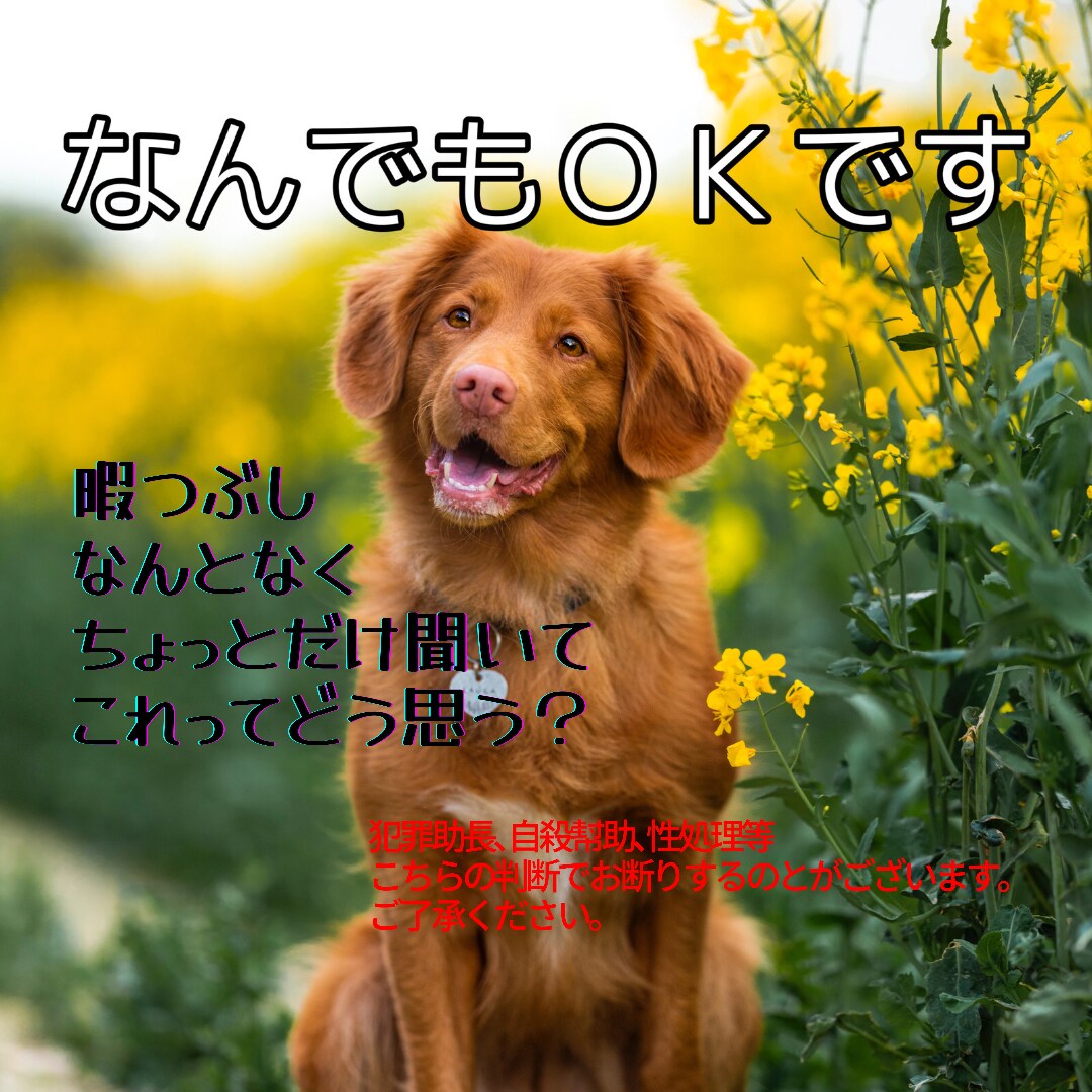 暇電､愚痴電､何でもお話し相手になります 今日の愚痴を言いたい､彼氏彼女の悪口言いたい何でも OK イメージ1