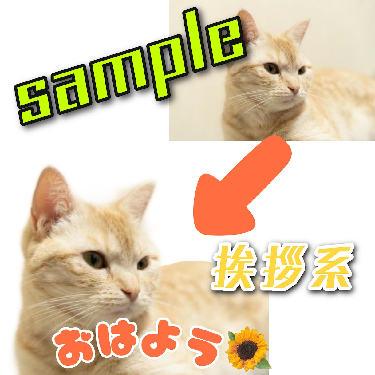 LINEスタンプ制作します あなたの家族を記念に残しませんか？？16セット‼️ イメージ2