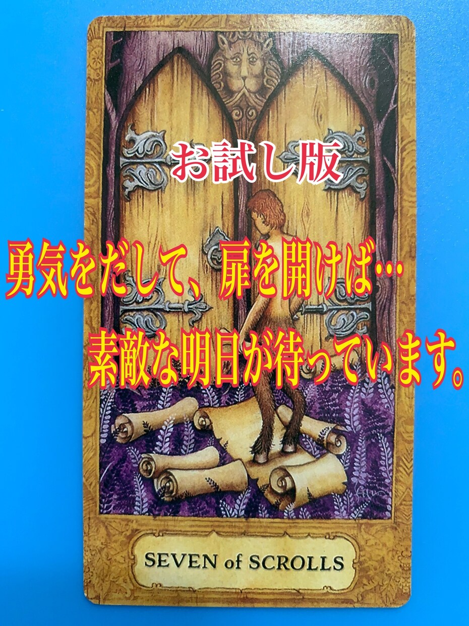 お試し版…あなたの心のドア開きます バランスを崩しかけている心に光を与えます!! イメージ1