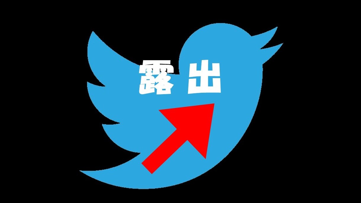 Twitterのインプレッション数を向上させます 独自の秘法を駆使して”ツイートの露出”をUPさせます♪ イメージ1