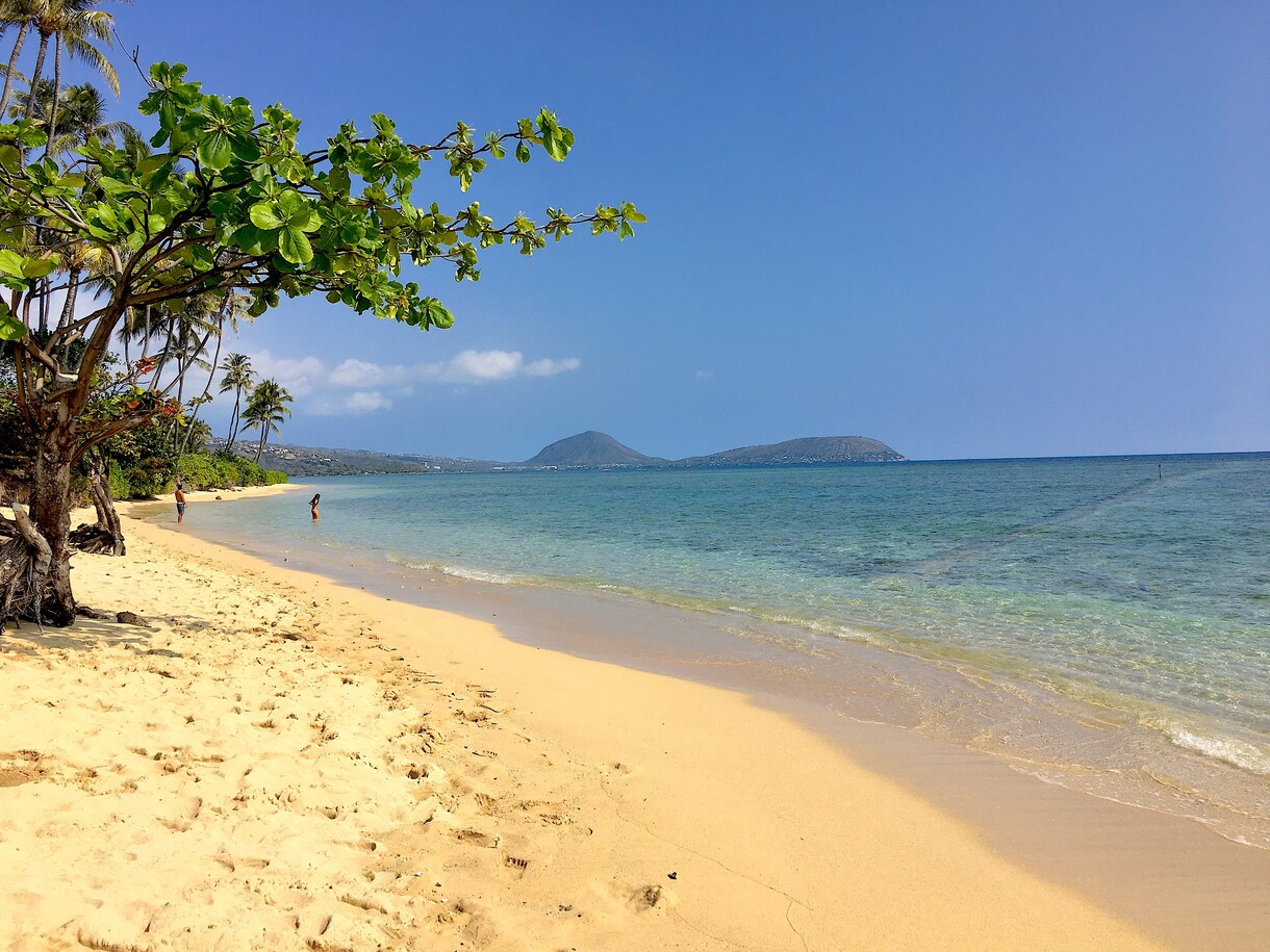 楽しいハワイ旅行を計画したい方☆お手伝いします 【元ハワイ在住】ハワイのオススメを話す事が大好きです イメージ8