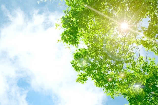 あなたのお話し、お聞きします 寂しい時、不安な時、ただただ話したい時、お電話ください♪ イメージ1