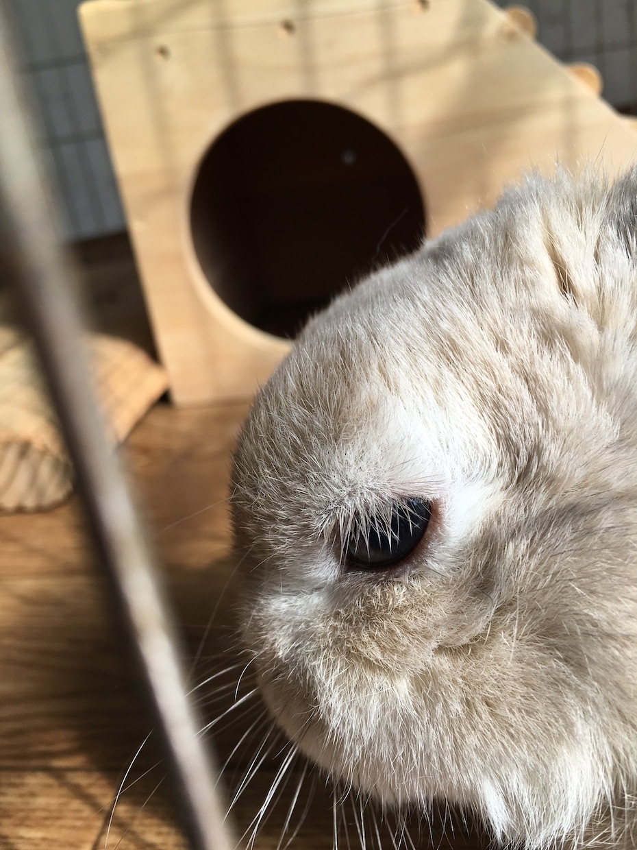 日頃の愚痴お聞きします ネガティブになってませんか？一緒にペップしましょう！ イメージ1