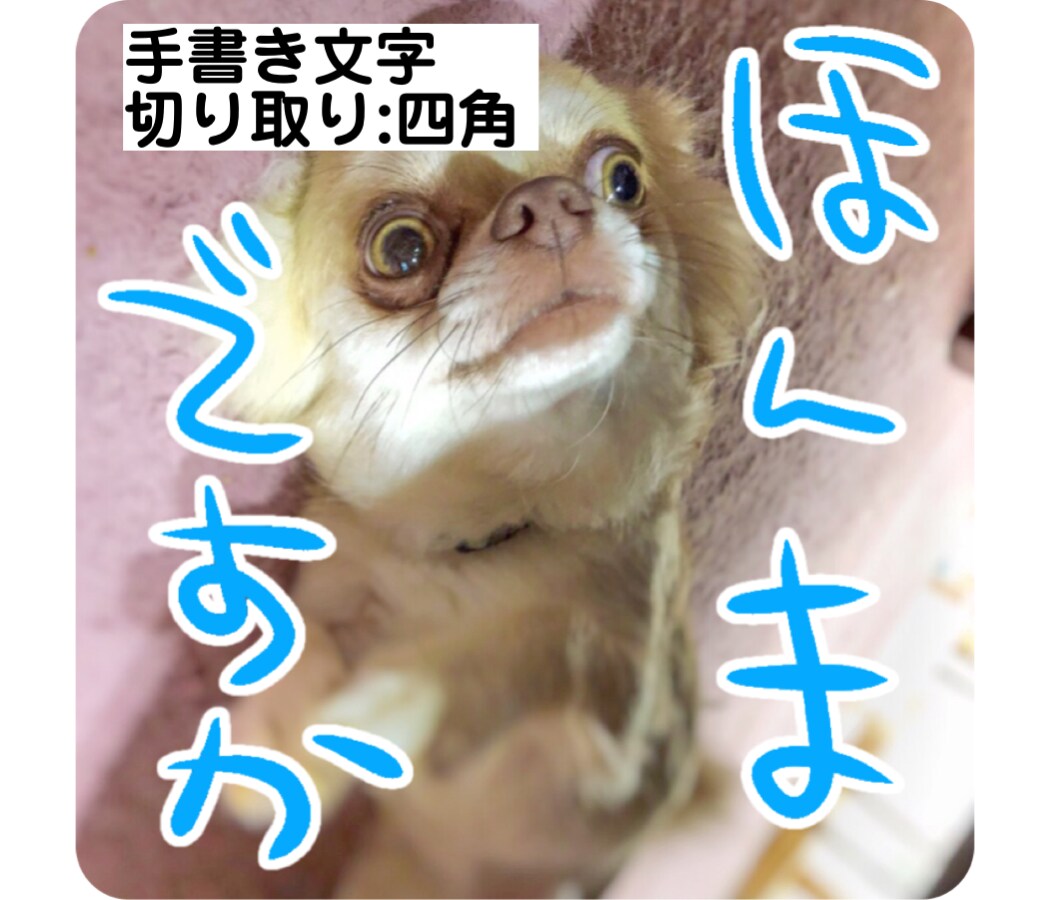 業界最安！LINEスタンプお作りします ペットやお子さんの写真で可愛いスタンプを作りませんか？ イメージ4