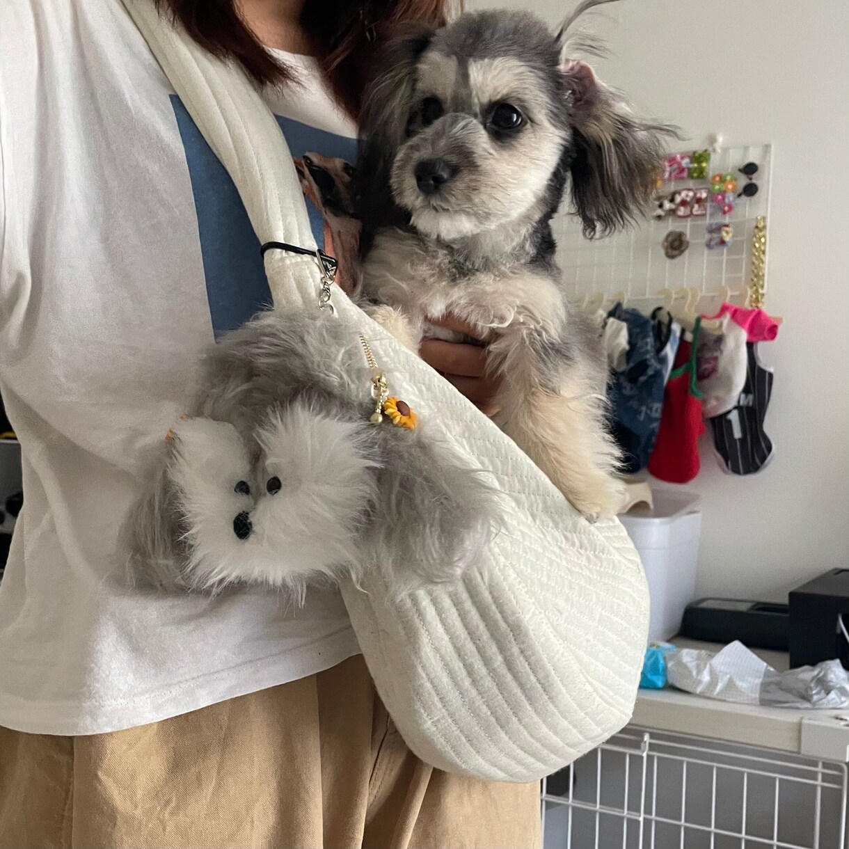 愛犬ポーチ作ります 世界にひとつだけ！貴方だけの愛犬グッズ！ イメージ5