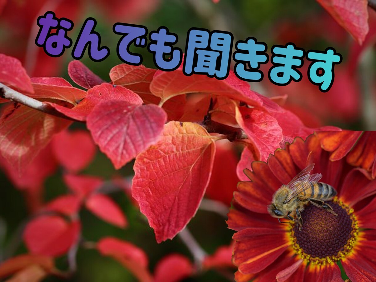 愚痴なんでも聞きます 日頃溜まったストレスを話す事で楽になりますよ イメージ1