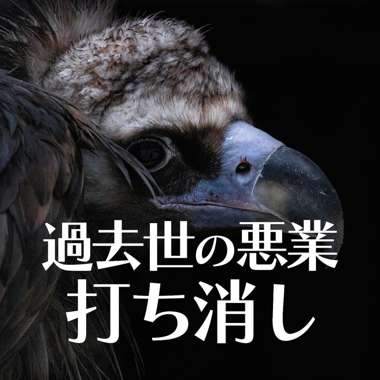 過去鑑定詰め合わせ　希望鑑定を一つお選び頂けます 悪業、アセンデッドマスター、悪運、勝負運、高級霊…など イメージ2
