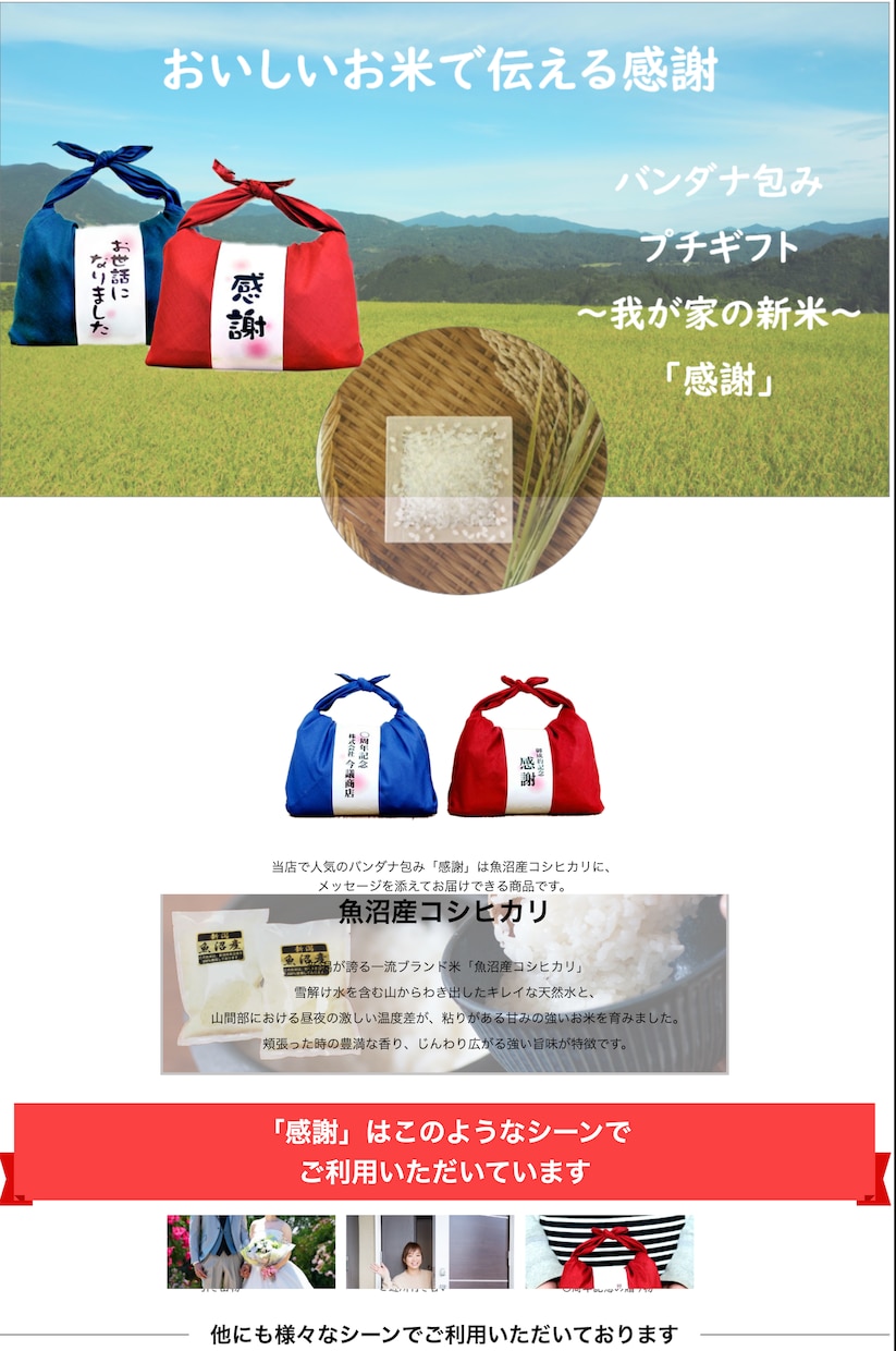 LP制作+リスティング広告新規出稿します 制作だけじゃない。広告の出稿までプロが代行します イメージ3