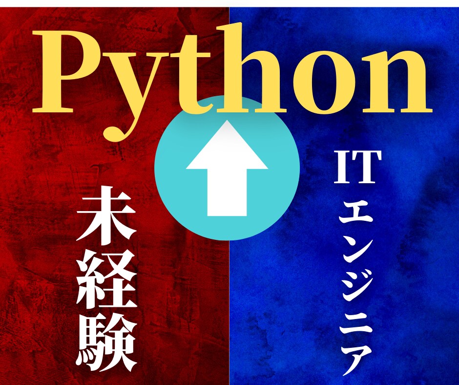 1ヶ月Python質問し放題！習得させます 未経験→SE→年収倍増！人生激変ロードマップも教えます イメージ1