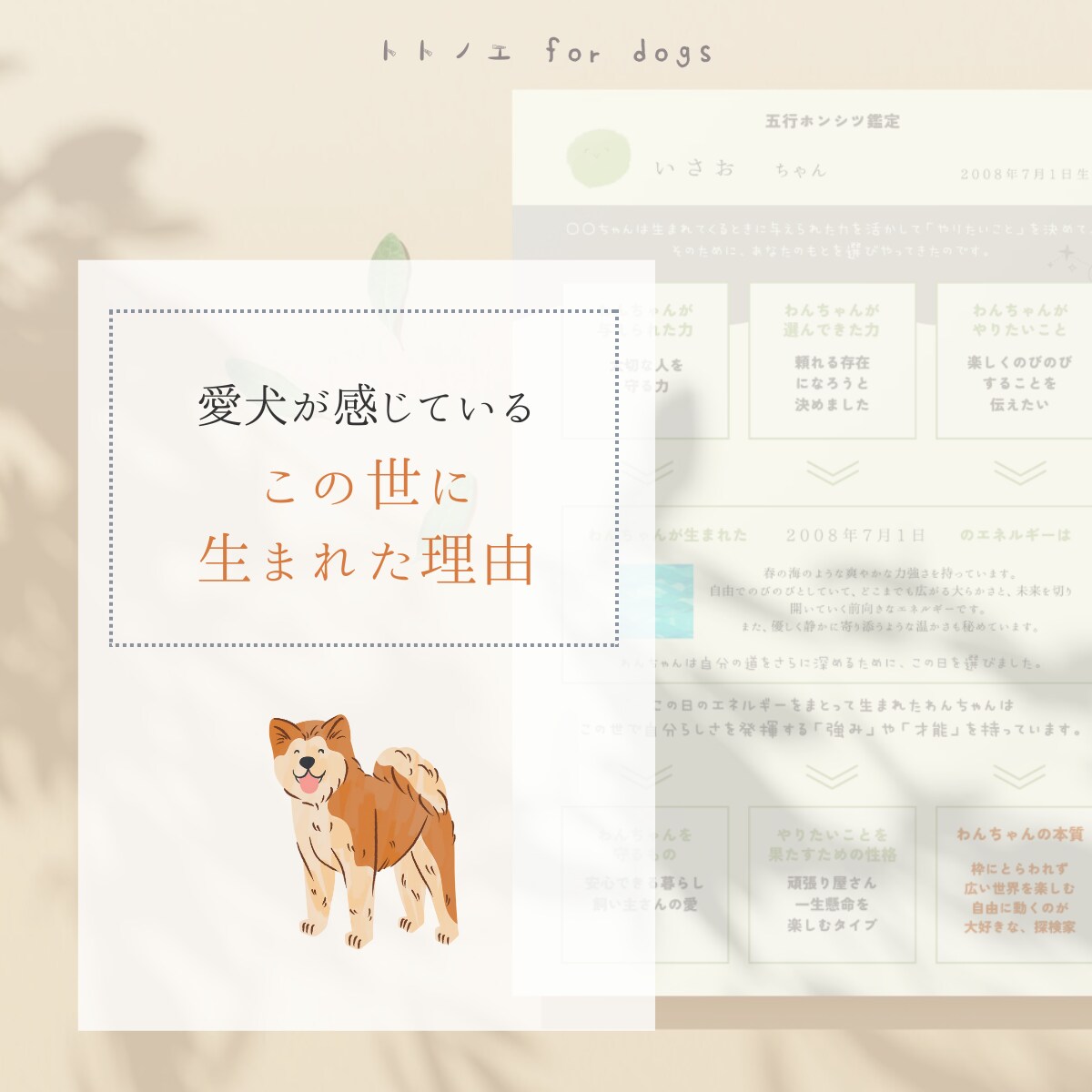 愛犬が生まれ持つ本質「人生の設計図」をひも解きます 愛犬の本質を深く知ることで、 今よりもっと愛おしい日々に。 イメージ4