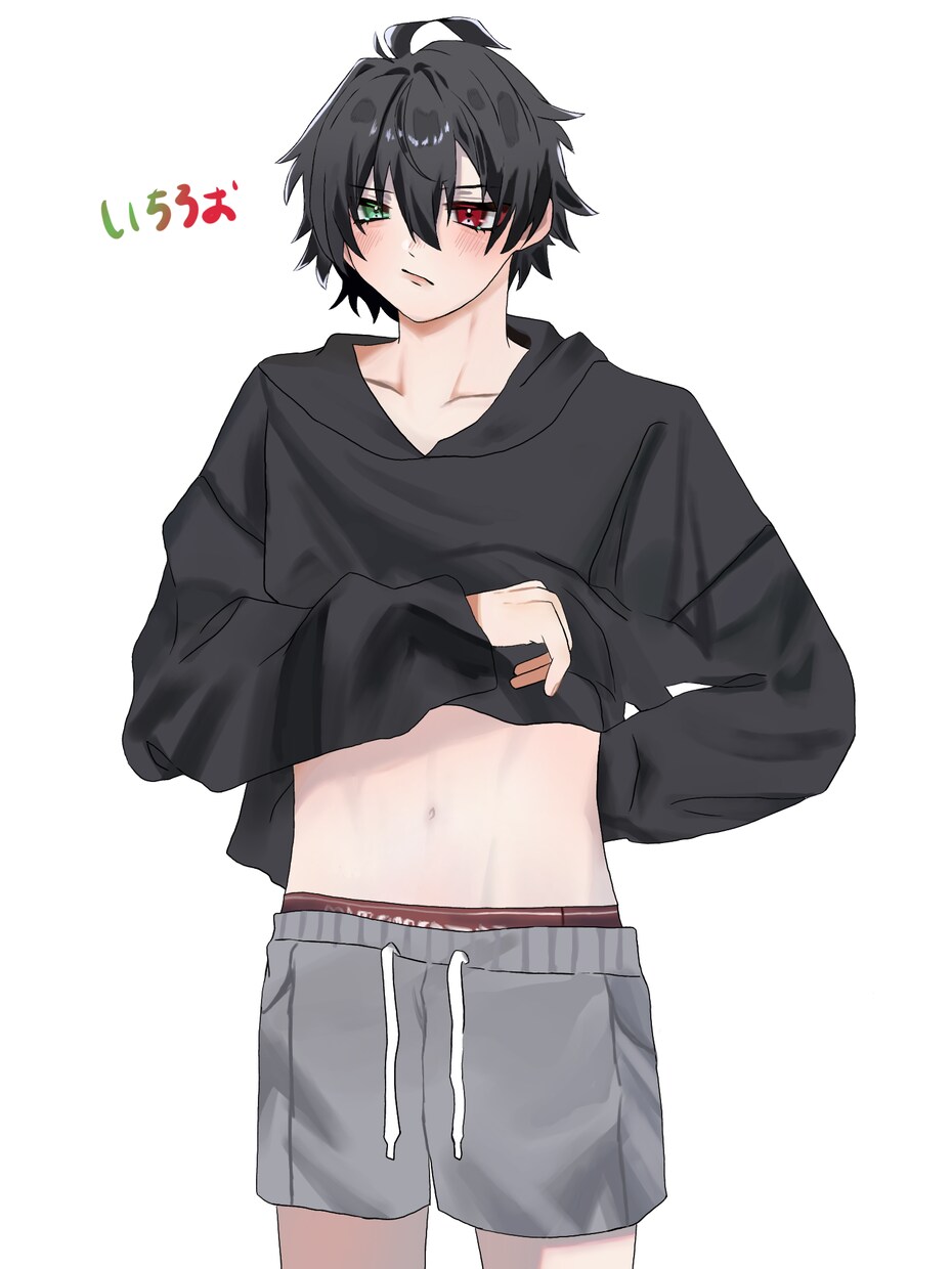 誰でも好きなのを描きます 万人受けするイラストなのでどうぞご贔屓に イメージ10