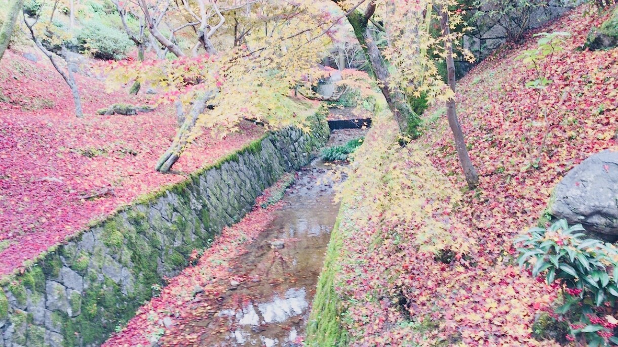背景好きな人におすすめします 涼しくなってきて、そろそろ秋がちらついてきましたね。 イメージ2