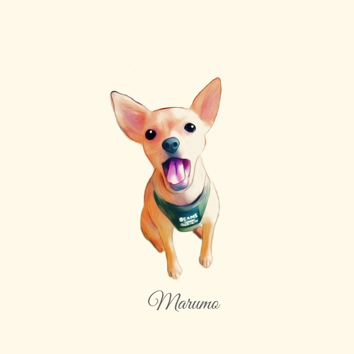 あなたのペットをイラストにします お写真を基にイラストを描きます イメージ3