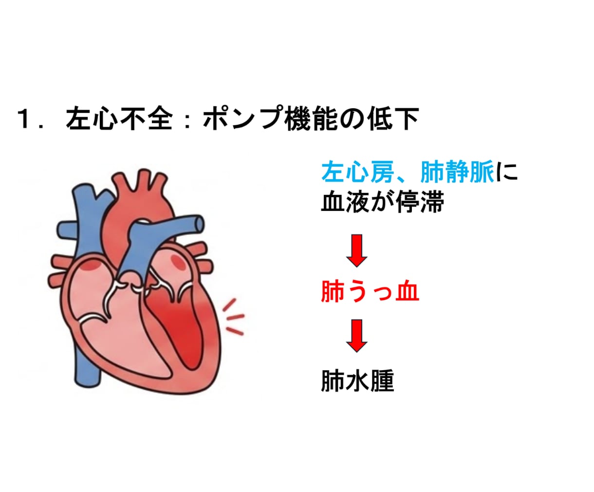 看護教員向け：講義資料などの作成代行します 臨床経験７年＋看護教員歴８年　授業準備を効率化したい方へ イメージ4