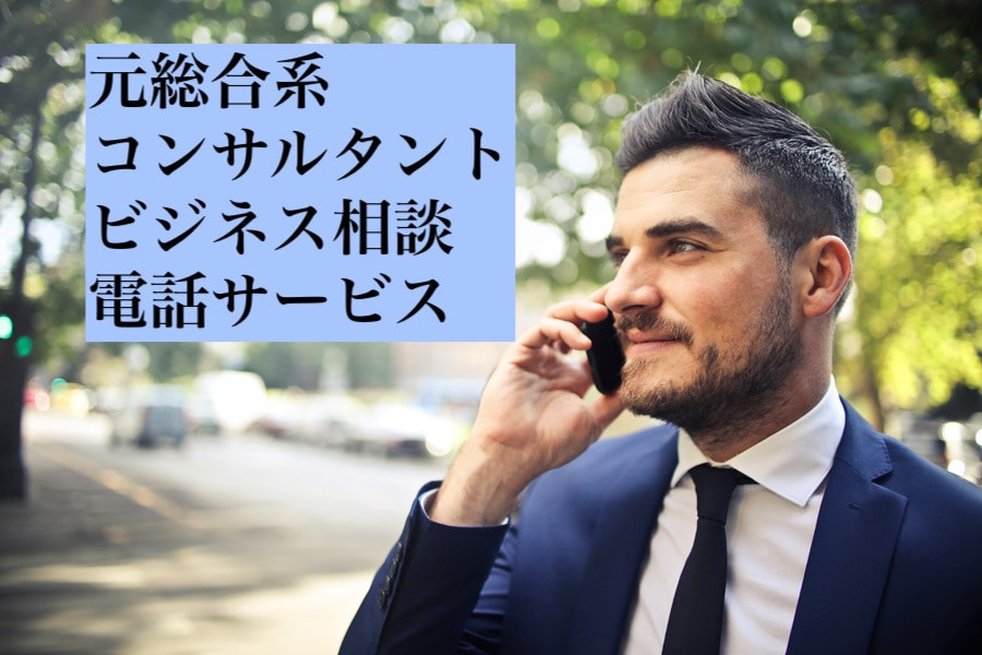 電話：元大手コンサルがビジネスのご相談に乗ります ブレスト・ディスカッション相手・ご提言等のお手伝いします イメージ1