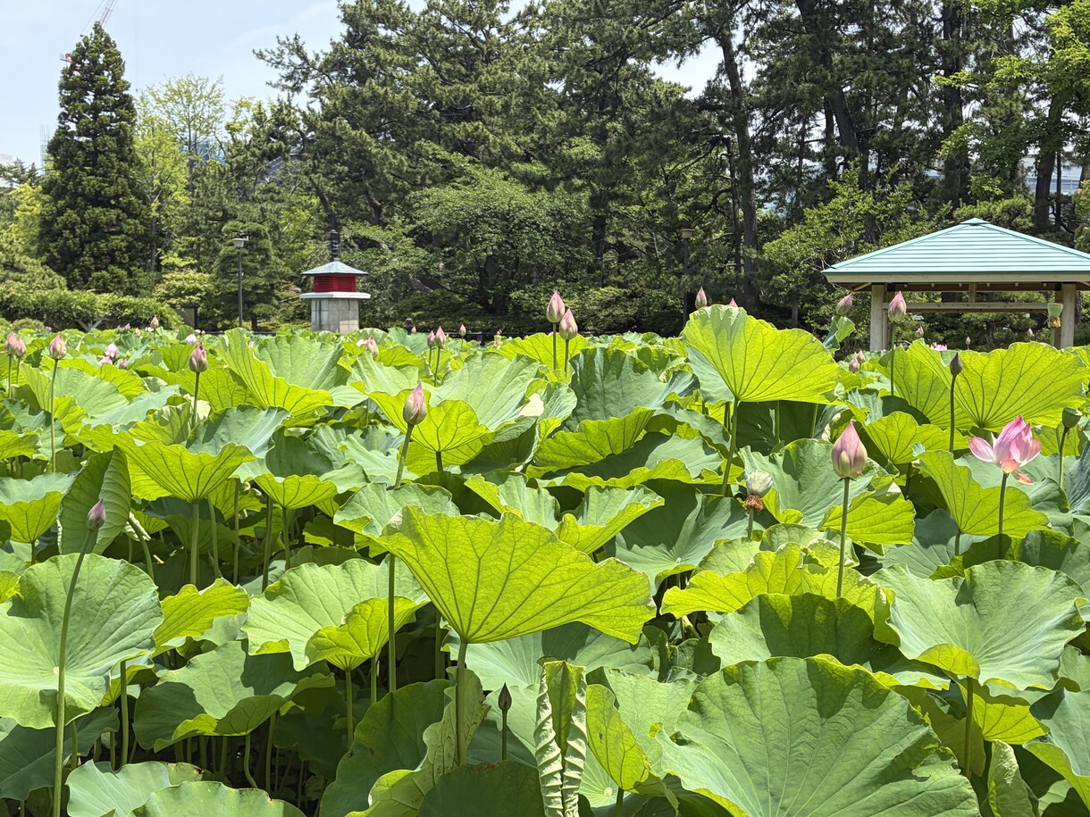 介護している方の愚痴、相談　承ります 福祉業界35年のプロが、あらゆる相談対応させていただきます。 イメージ4