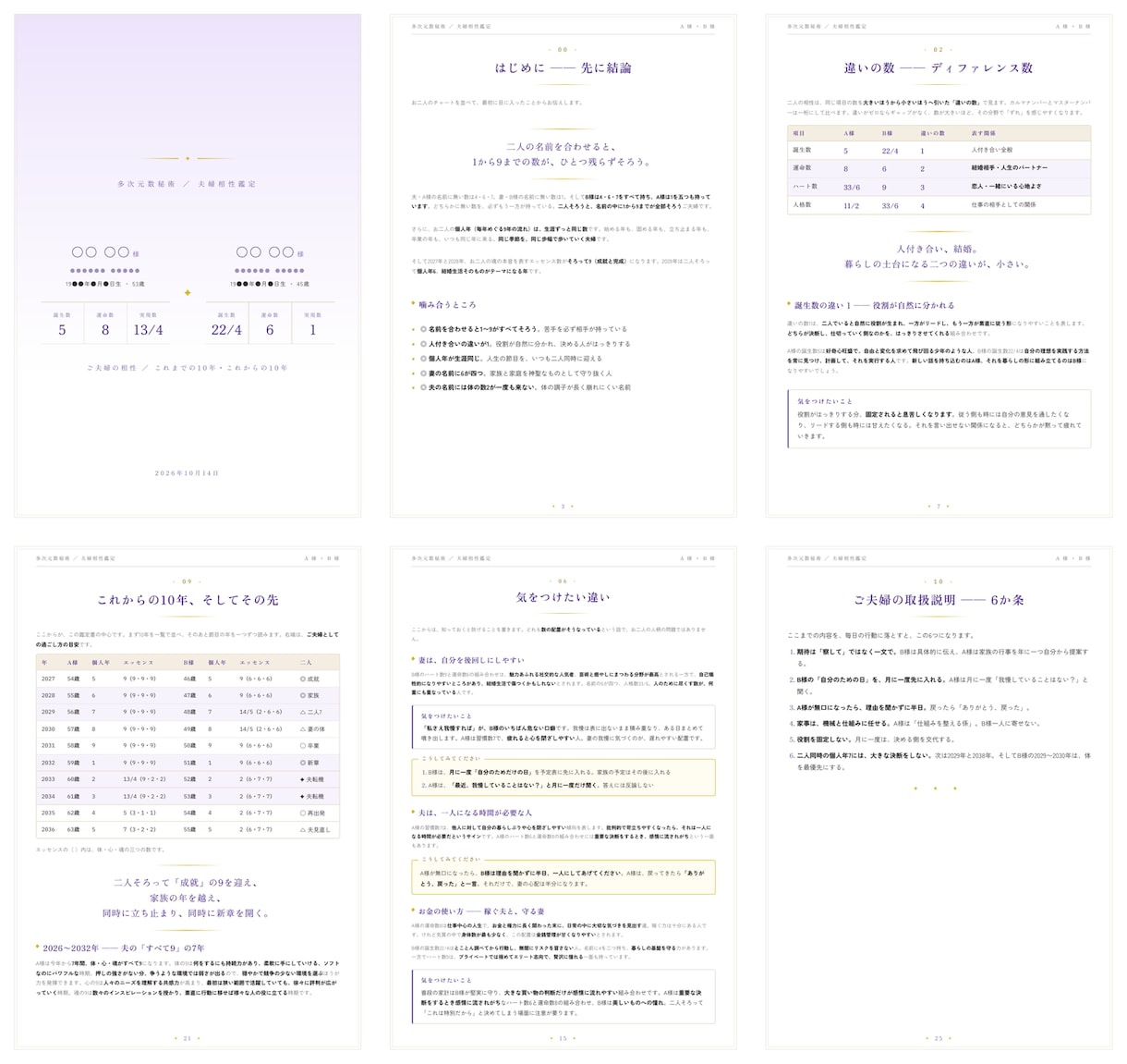 数秘術20年年表｜相性鑑定書を2万文字超で作ります 夫婦・子供・恋愛・ビジネス相性鑑定｜2人の特性で対策を練る イメージ3
