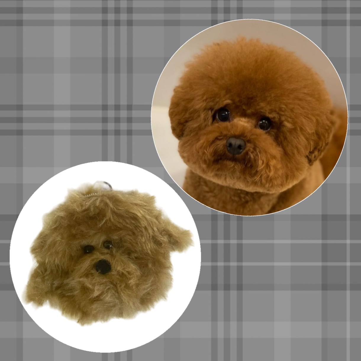 愛犬ポーチ作ります 世界にひとつだけ！貴方だけの愛犬グッズ！ イメージ6