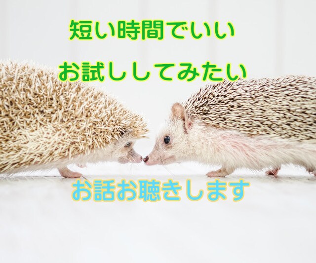 気を使わず安心して話せる場で吐出しや相談ができます 否定されない、受け止めてもらえる、そんな安心感の中で話せます イメージ4