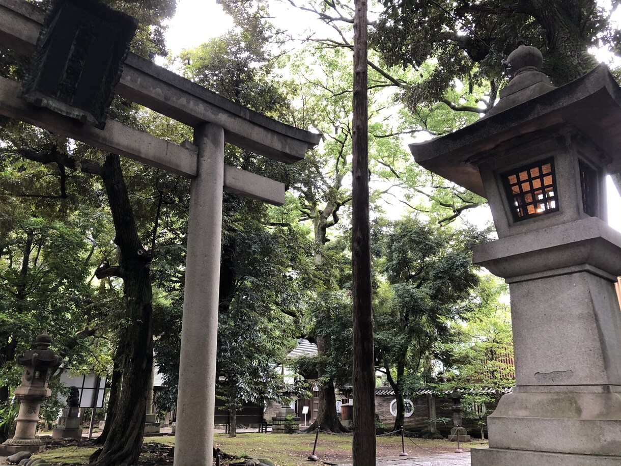 赤坂氷川神社代理参拝いたします 合格祈願、良縁祈願、本物の神通力で神様を動かします イメージ4