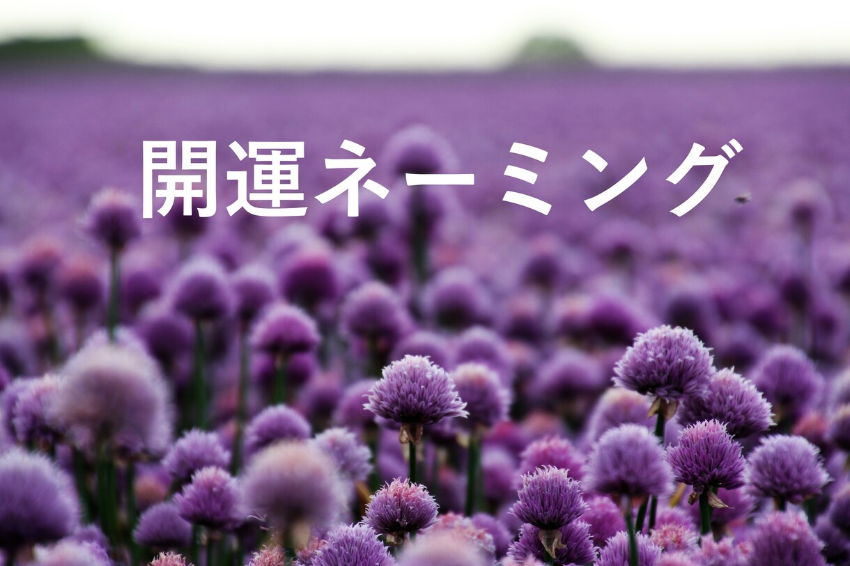 開運のビジネスネームを考案いたします 多方向からのヒアリングで起業・独立を応援します！ イメージ1