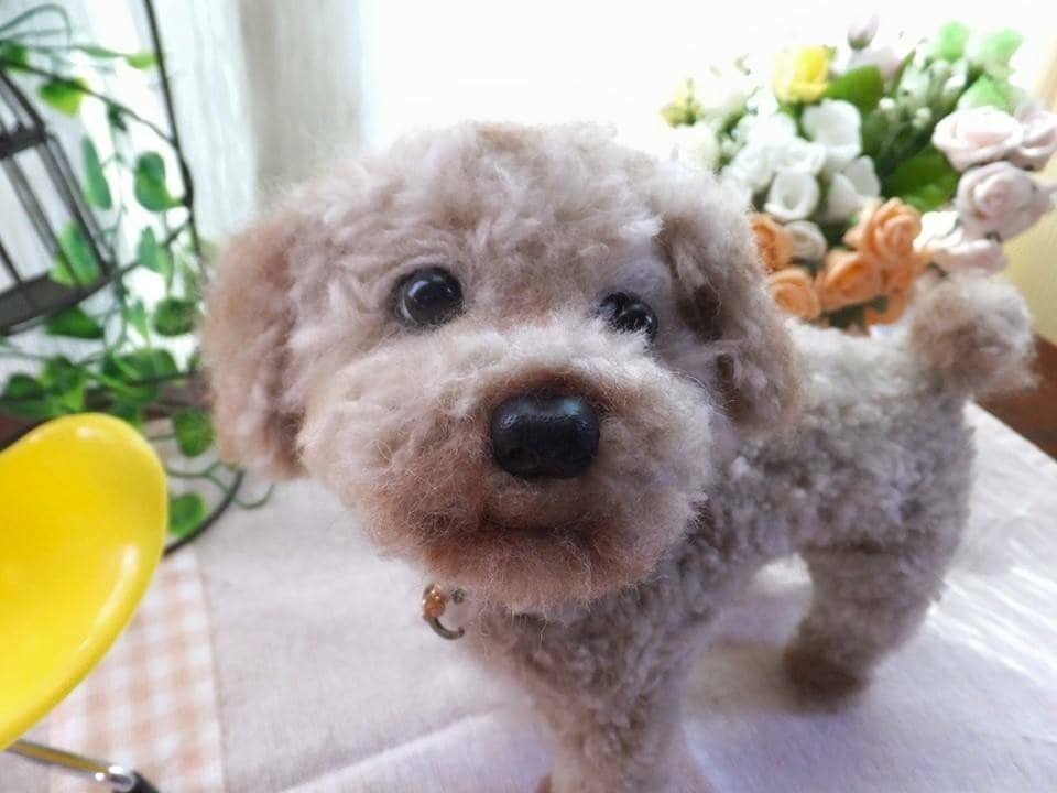 お写真からペットちゃんのそっくりドール作ります 「お帰り」と言って頂ける作品を目指しています。 イメージ5