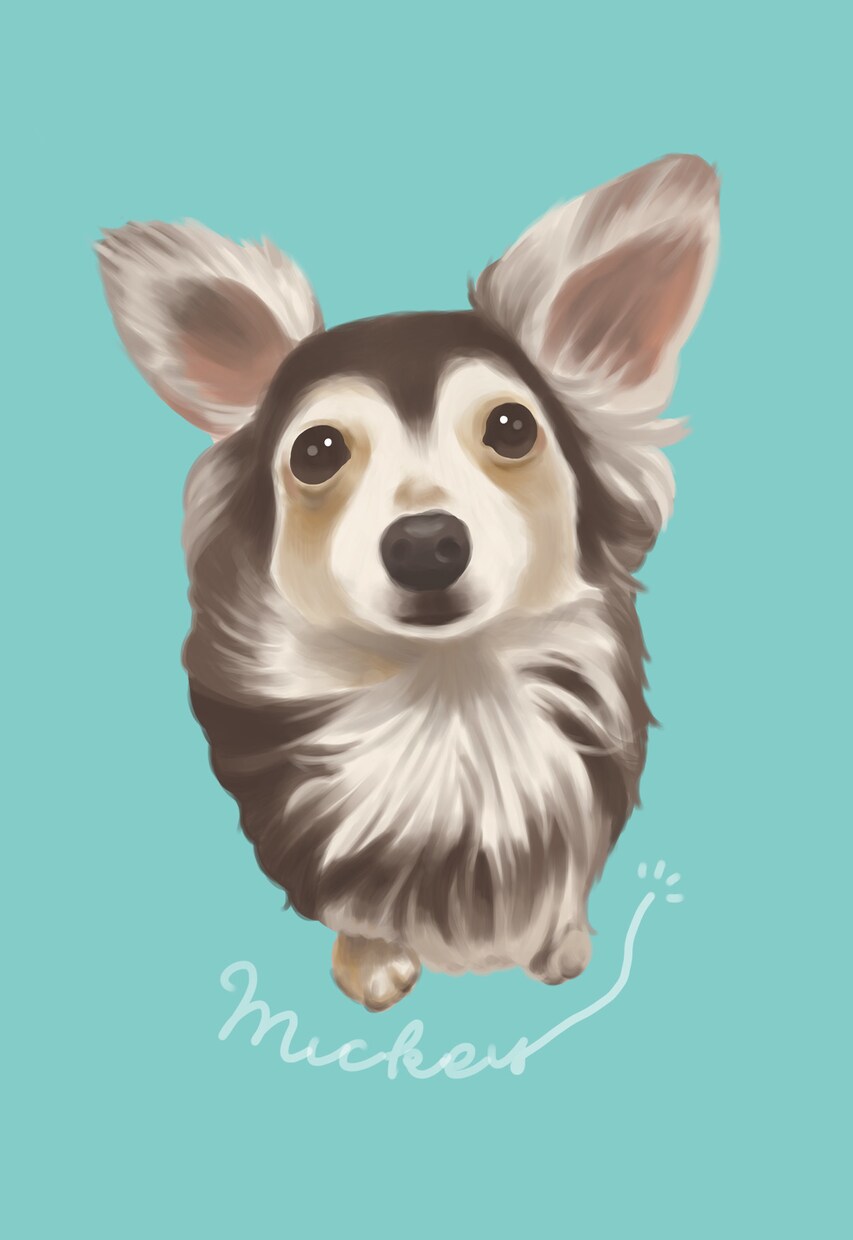 デジタル手描きでペットのイラストお描きします 写真とは違った癒しを＊生粋の動物好きがお描きします イメージ5