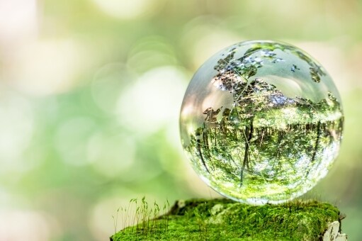 遠隔ヒーリングであなたやペットの波動を整えます 自身のオーラを浄化、高めたい方、ペットに元気でいて欲しい方 イメージ1