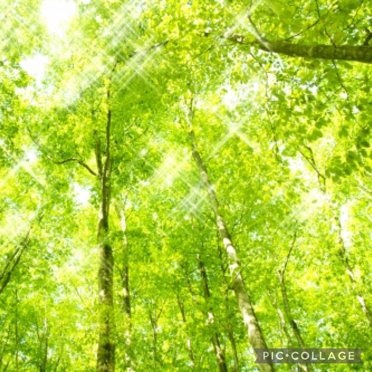 24時間LINE感覚♡ゆる~くチャットで癒します クーポン消化にも♡回数無制限で気楽にゆるゆるやり取りしましょ イメージ5