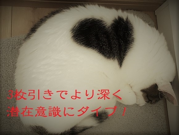 1枚ワンコイン！3枚引きでより深く占います カードが増えた分、より深く潜在意識にダイブします イメージ1