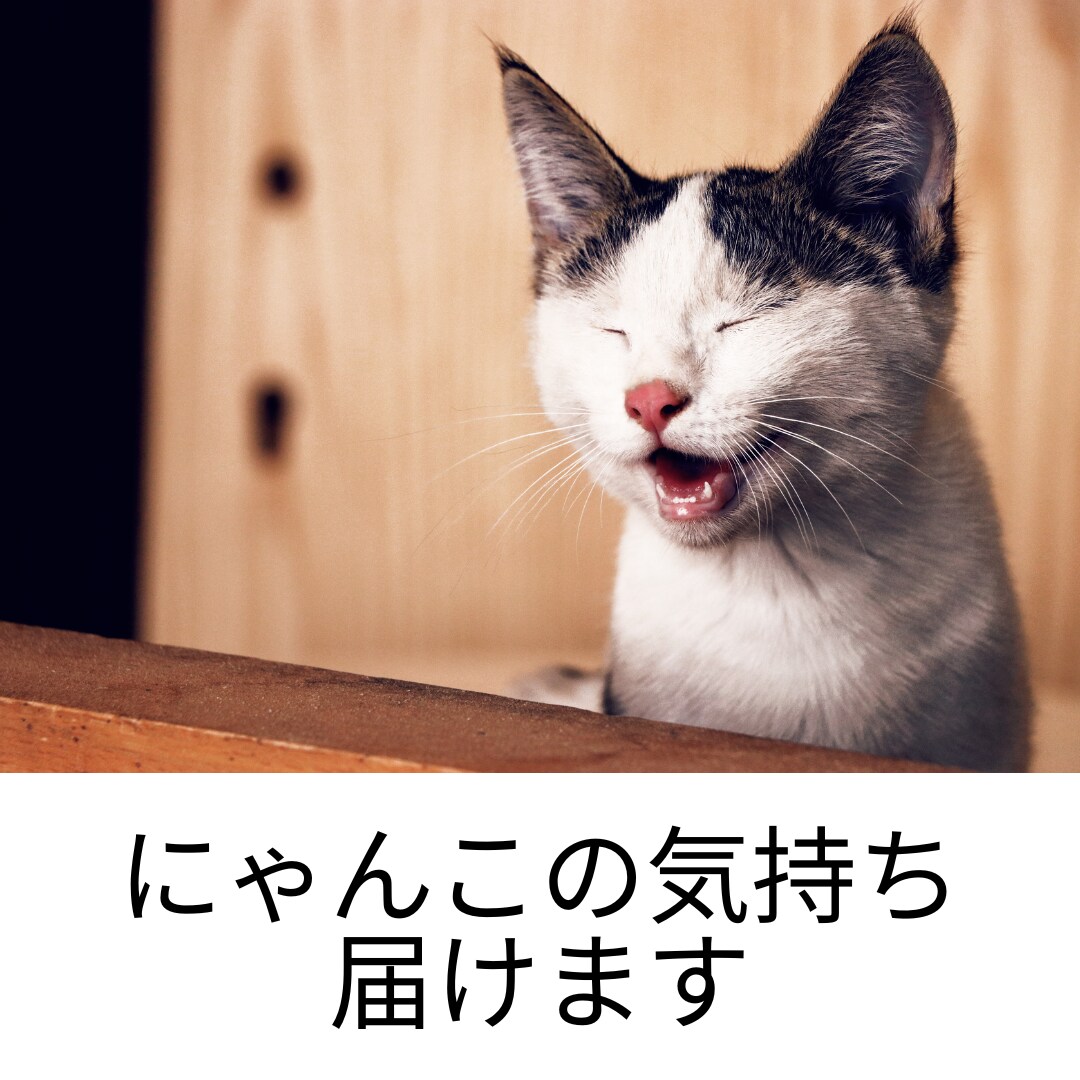 なぜ！？噛む逃げる！愛するペットの気持ちを届けます 貴方の愛の心をお届けすることで変化を実感 イメージ10