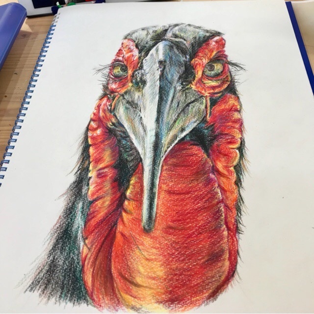 色鉛筆:動物をリアルに描きます 指定あればモノクロや単色などでも可能です。 イメージ2