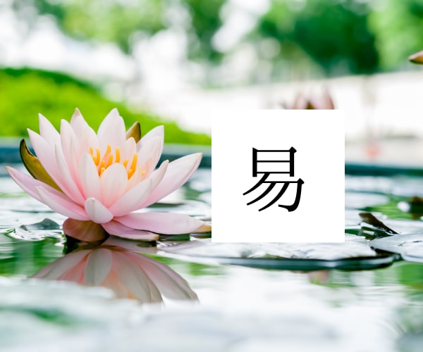 易占は明確に答えが出ます 最強の占い！中筮と略筮の両方を使いあなたを導く イメージ2