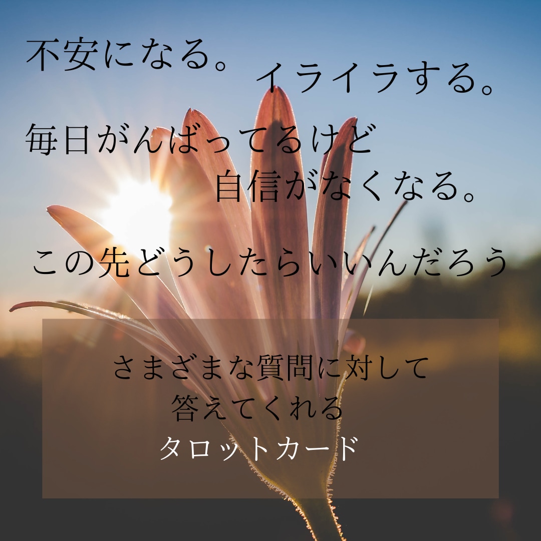気軽に占います 心の整理☆サクッとポチッとしたい方 イメージ4