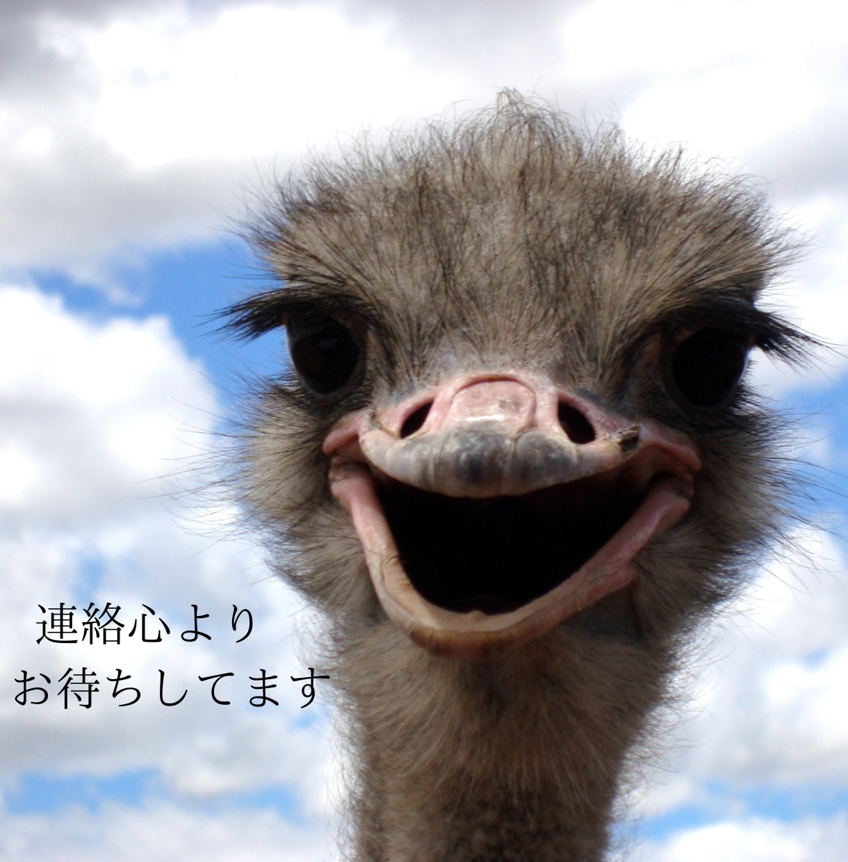 お仕事、職場での悩み、お話し何でもお聞きします なかなかまわりには相談しにくい方お待ちしてます イメージ2