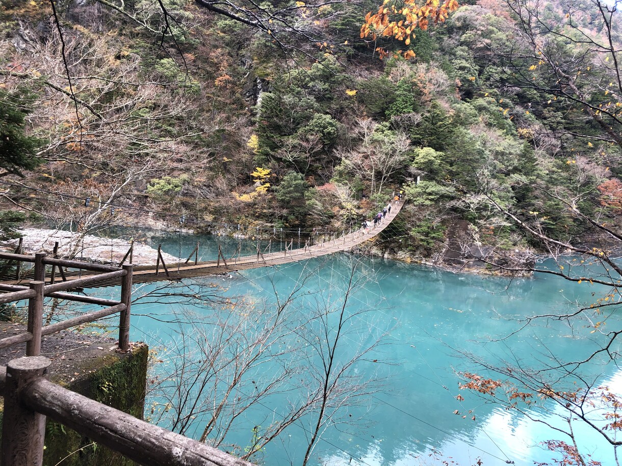 お花の写真メインで提供します お花、風景をメインに写真提供します。 イメージ7