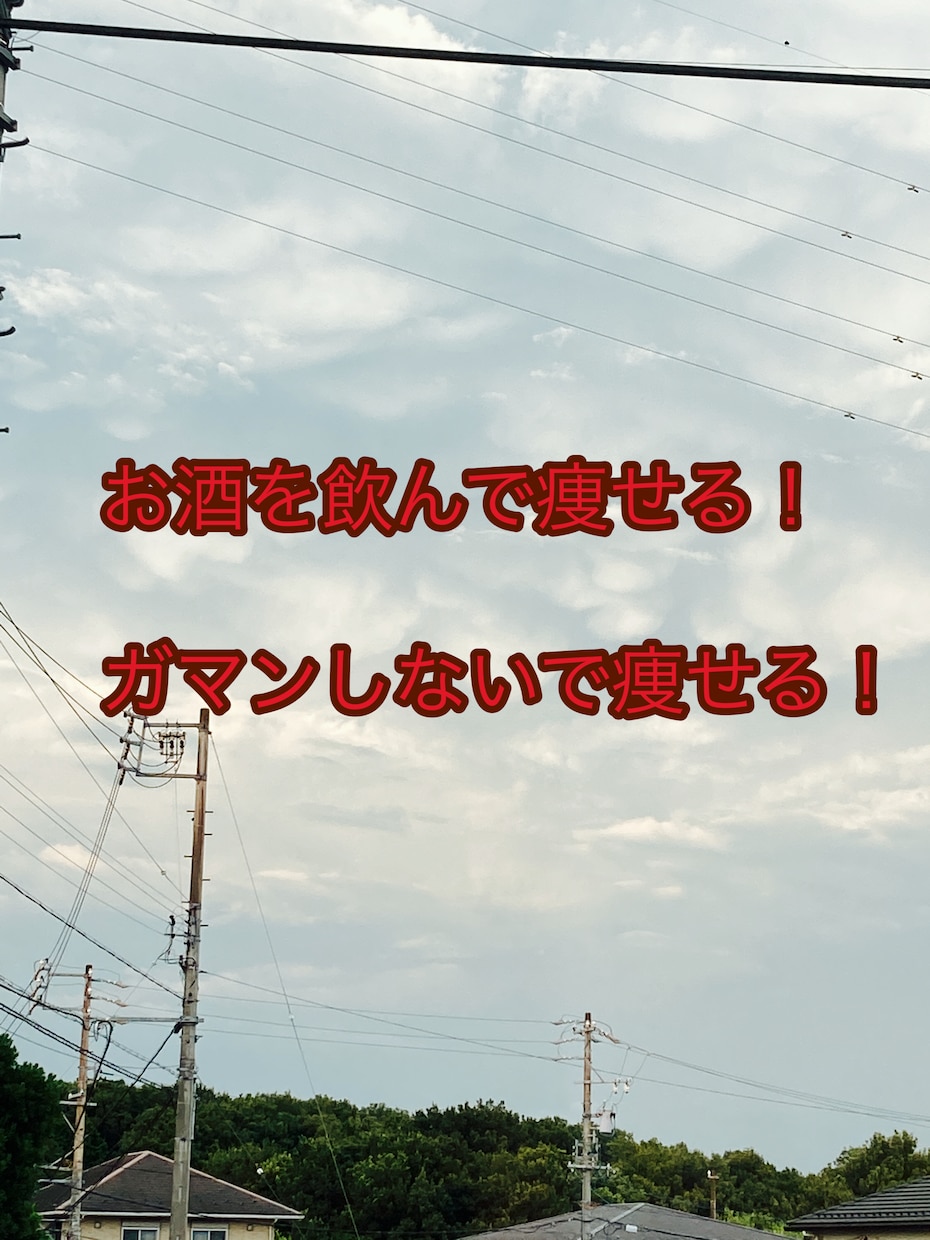 お酒で痩せる！ガマンしない！痩せる盲点おしえます 医療従事者が教えるダイエットの盲点！毎晩、晩酌して大丈夫！ イメージ1