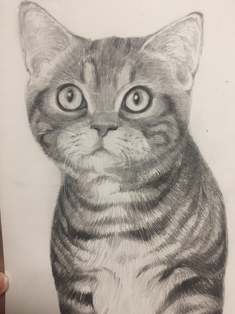 あなたの大事なペットの自画像描きます 大切な家族を一枚の絵にしませんか？ イメージ3