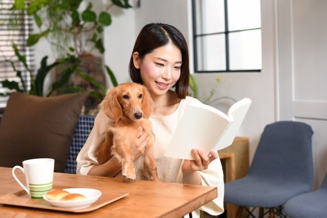 商用利用･著作権譲渡･自作発言可！小説作成します 小説、シナリオ、記事作成。文章作成でジャンルを問わず承ります イメージ1