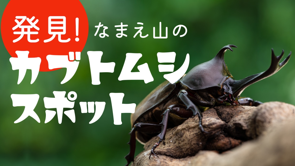 YouTubeのサムネイル作成します 再生回数が伸びないのには理由がある。 イメージ2