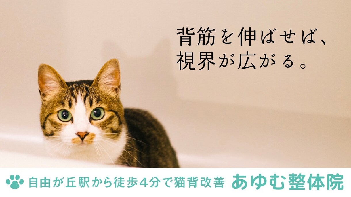 キャッチコピー・ネーミング・ボディコピー考えます 5案、無料修正2回までご提案いたします イメージ9