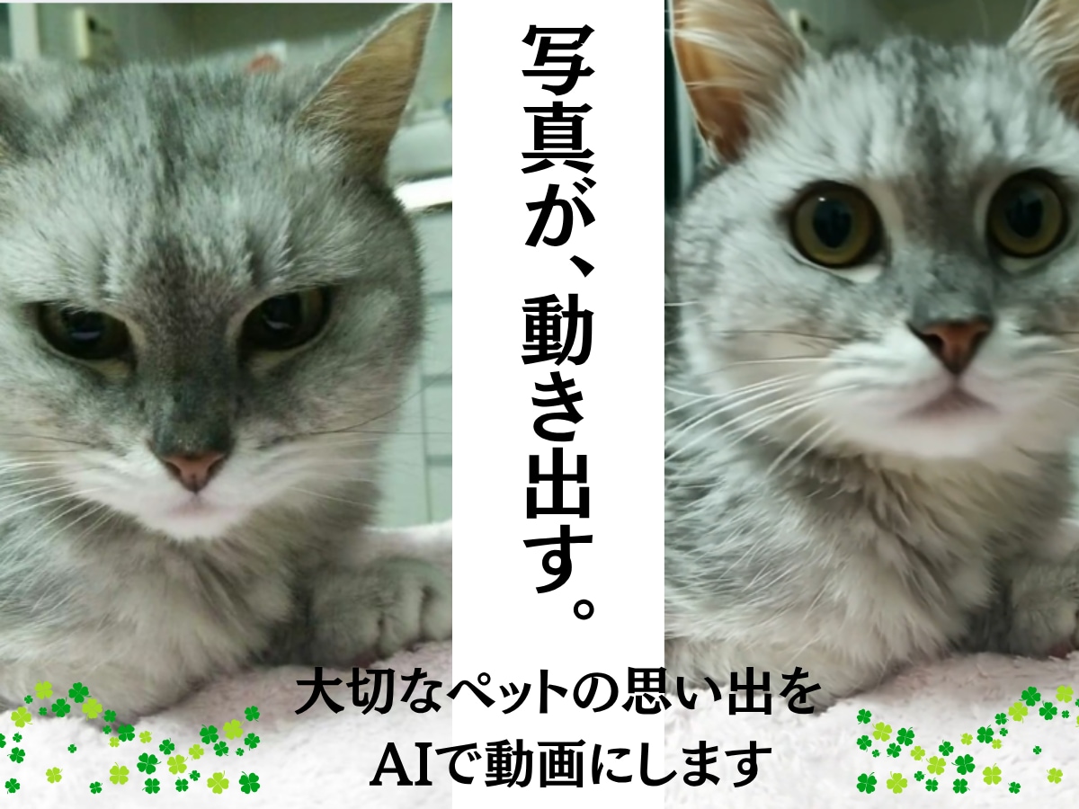 大切な子の思い出を、動く姿で残しませんか？ます 大切なペット写真から、自然な動きのある思い出動画を制作します イメージ1